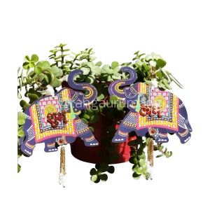 elephant subh labh